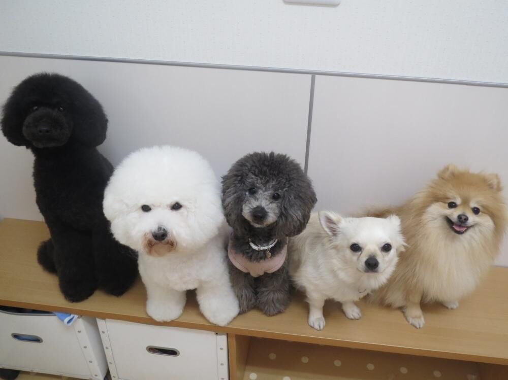 サムネ